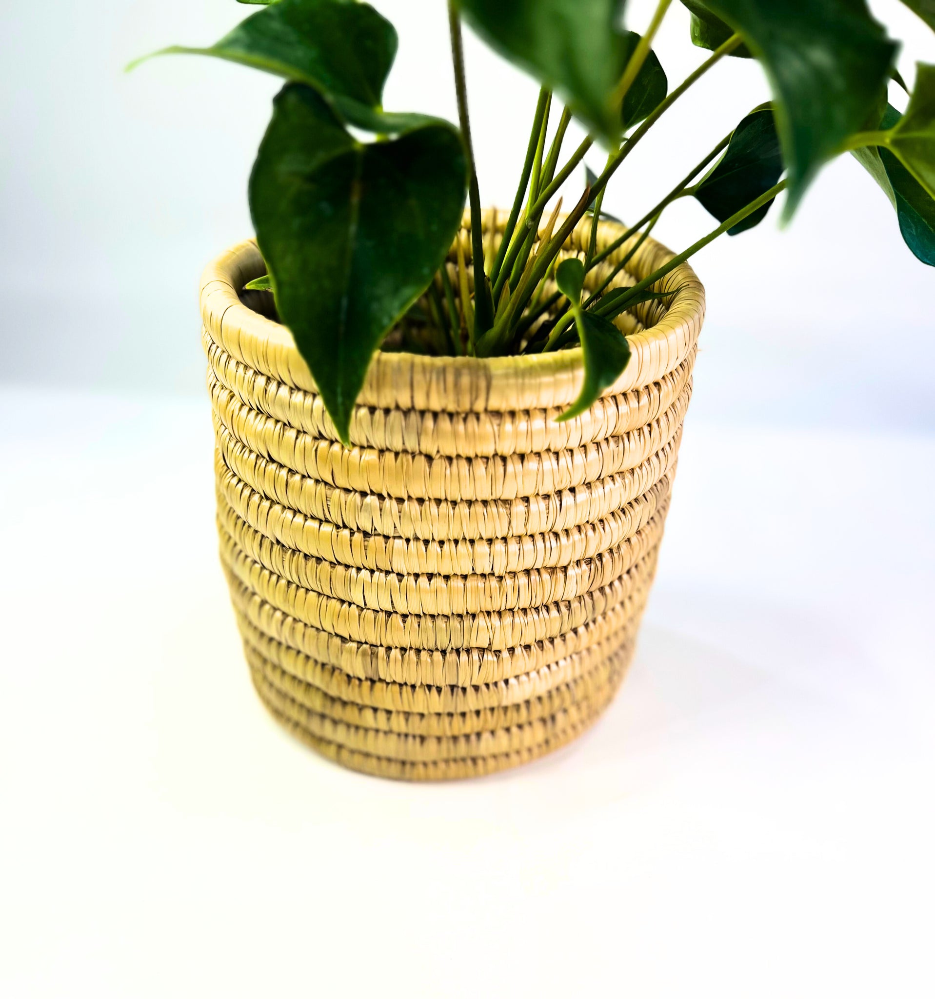 DATE PALM PLANTER HANDMADE STYLISH HOME DECOR INDOOR PLANT ACCESSORY GIFT